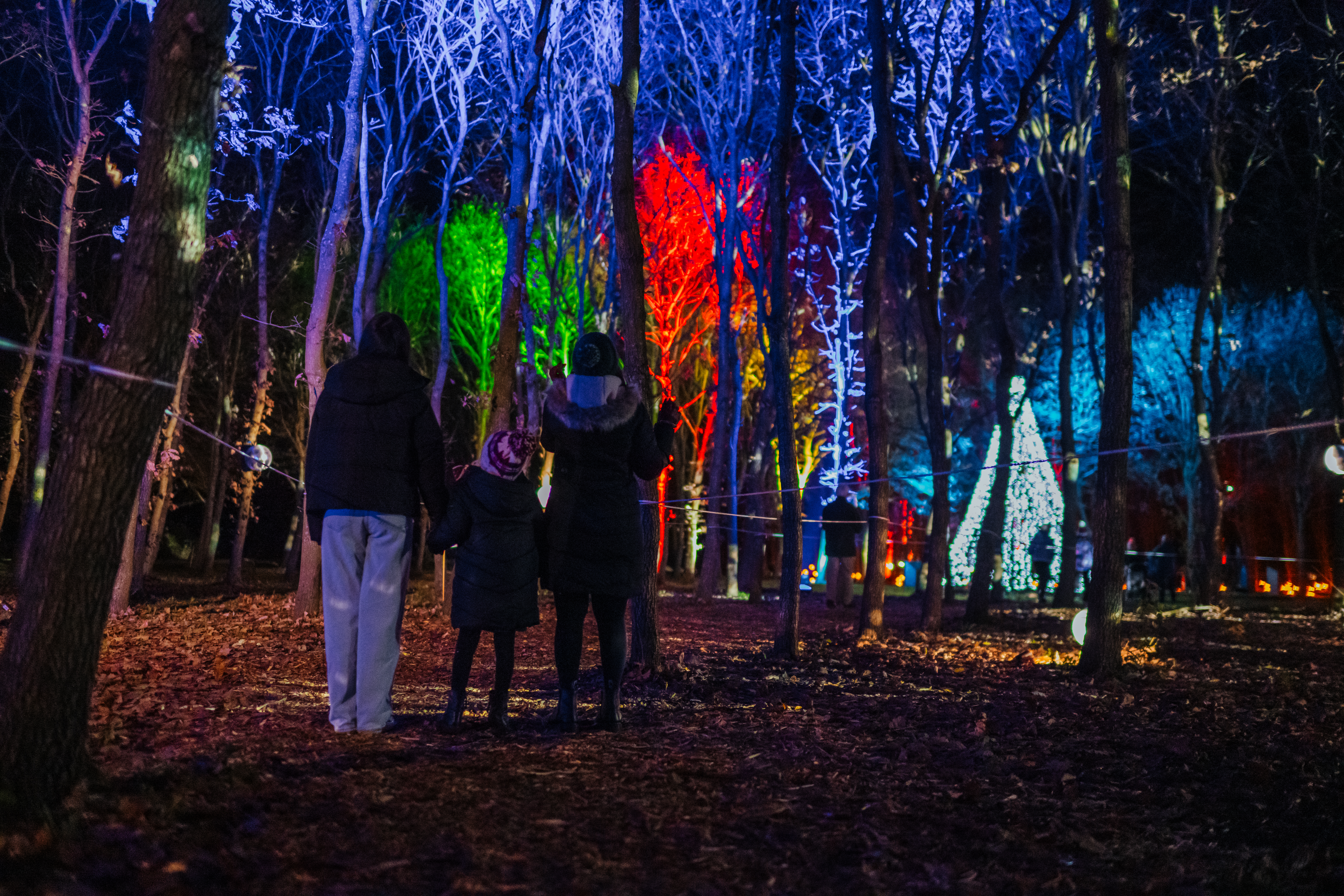 Family exploring Illuminated Arboretum
