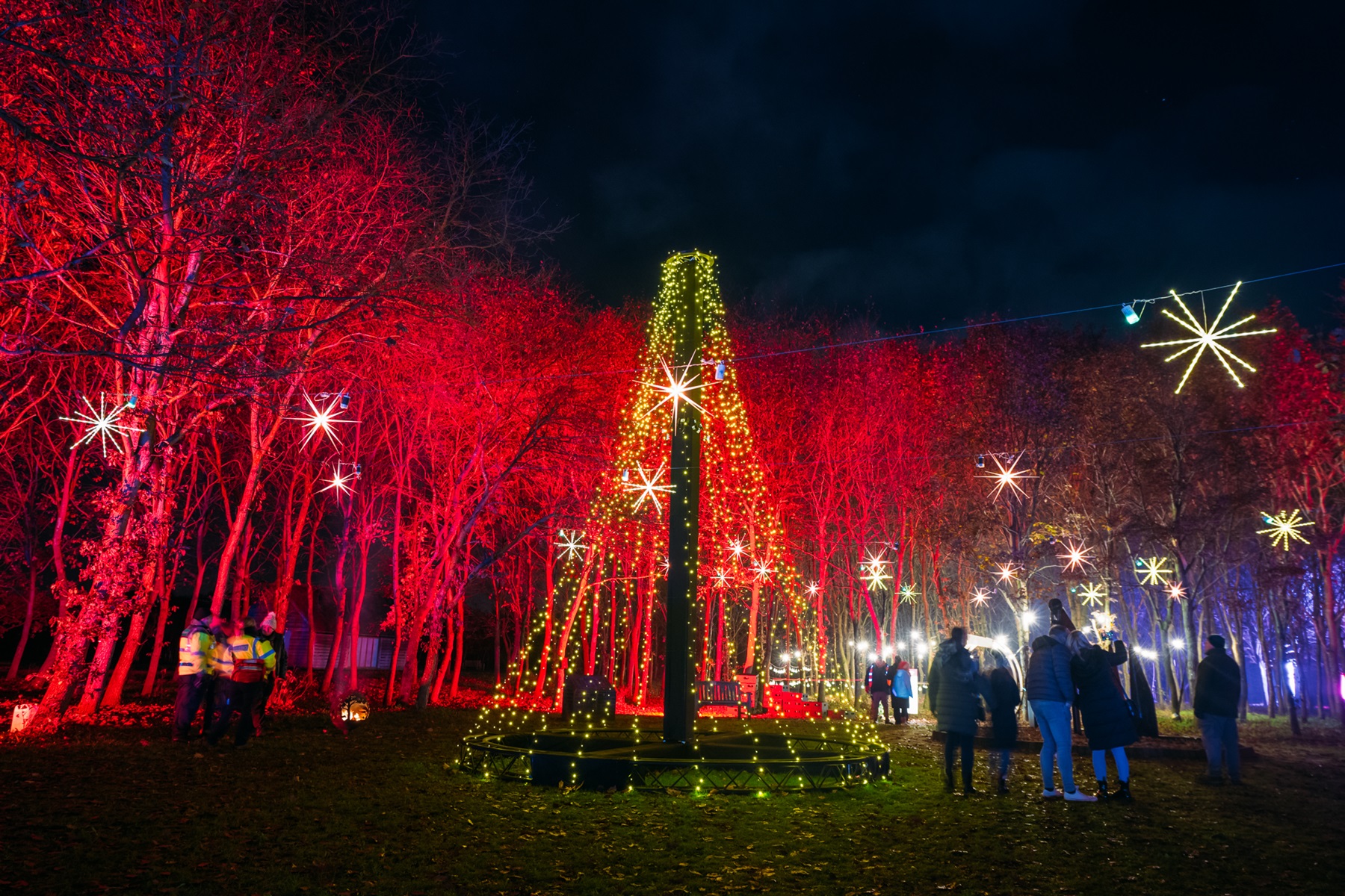 One of the Illuminated Arboretum installations from 2022