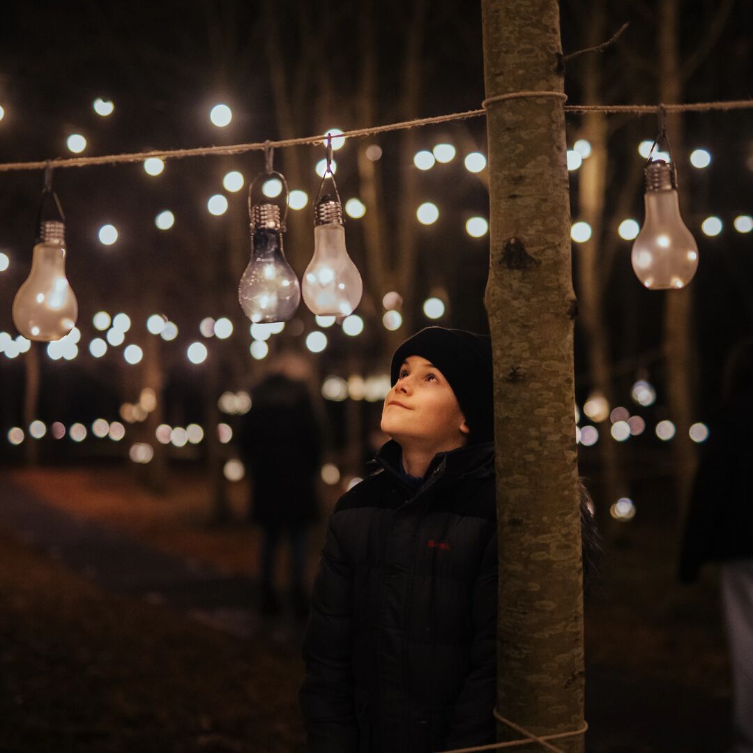Image shows a young boy at the Illuminated Arboretum event, hanging a lighted bauble as part of an interactive display.
