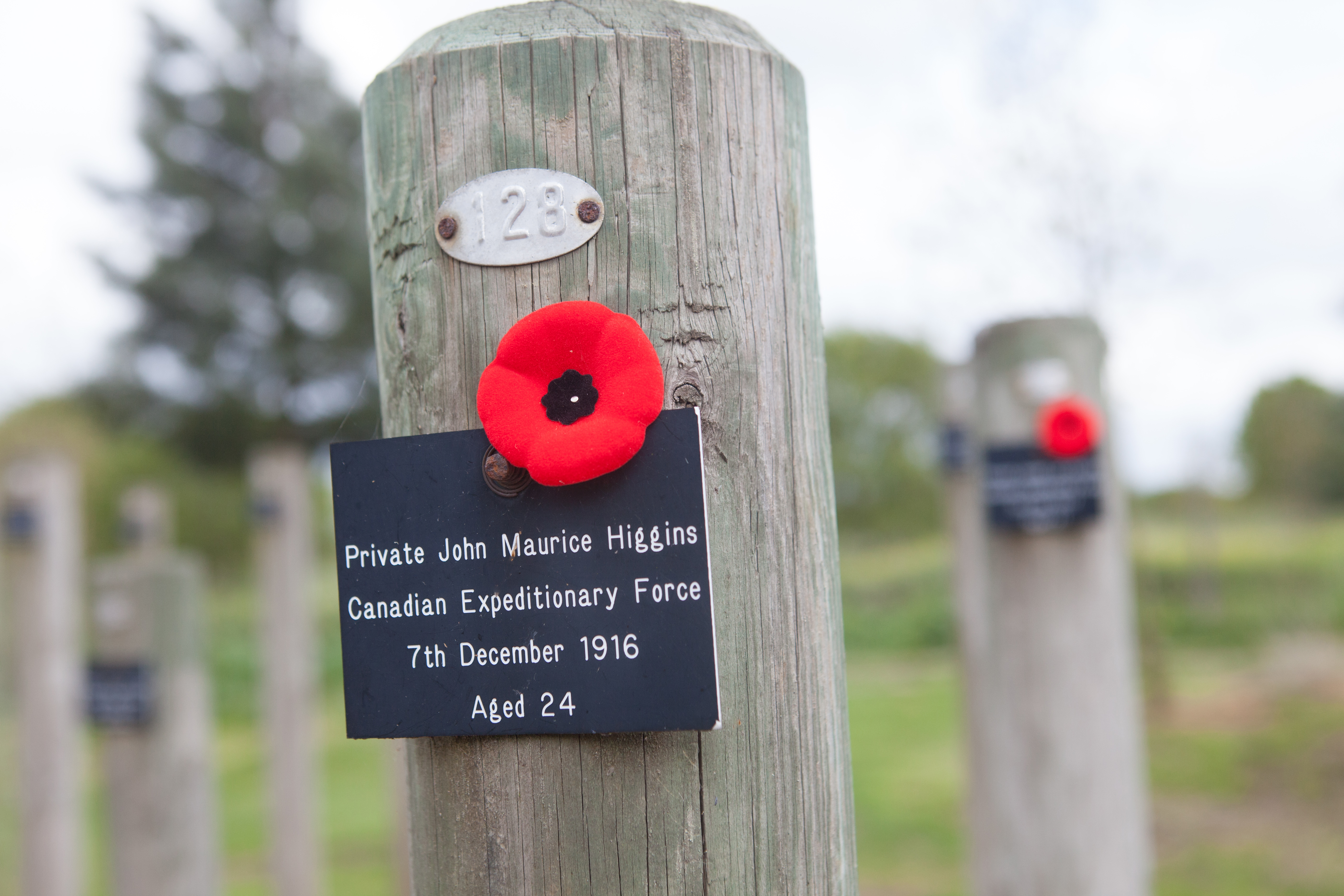 An individual post at the Shot at Dawn Memorial. Plaque depecited reads Private John Maurice Canadian Expeditionary Force 7 December 1916 Aged 24