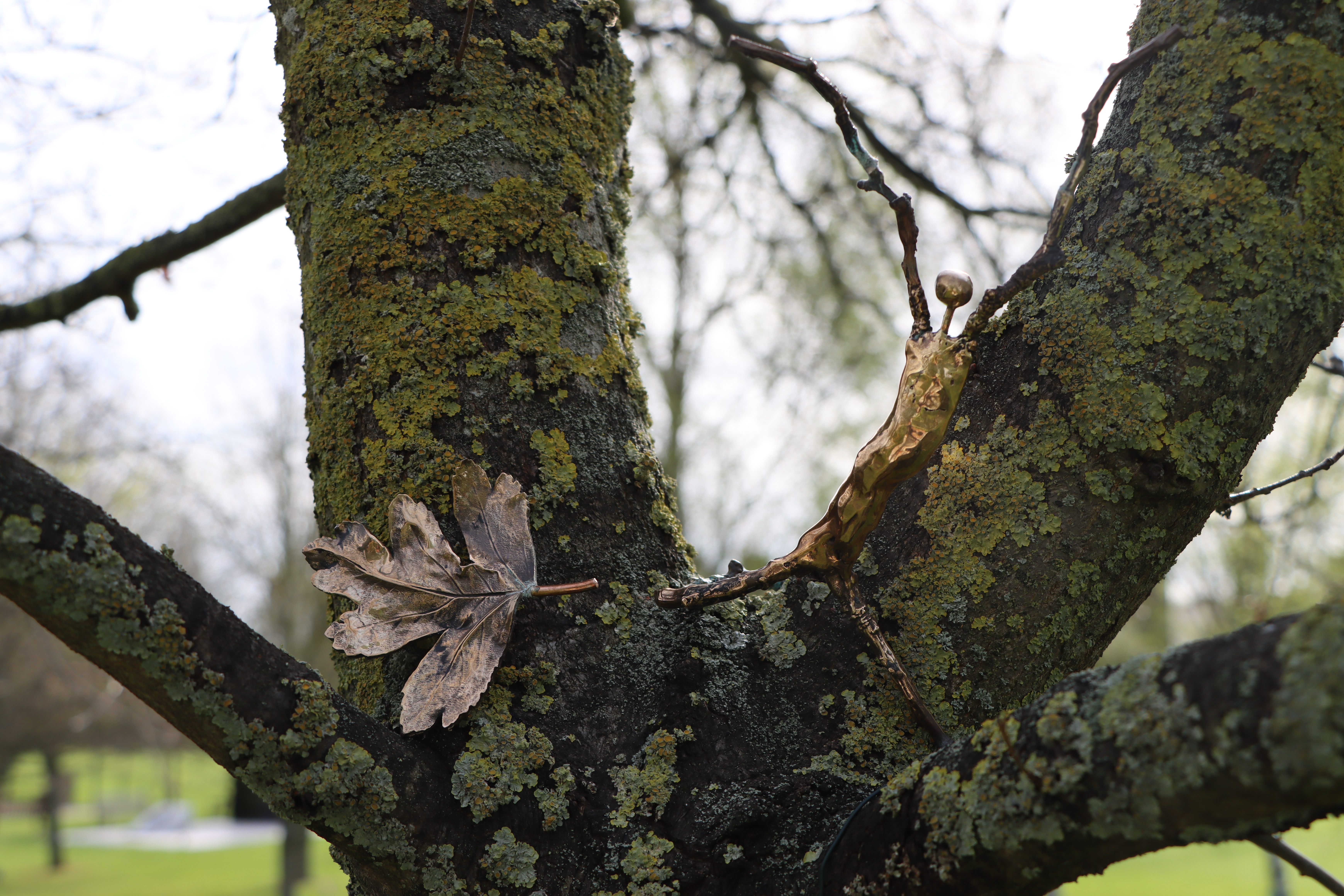 Tree of Cherished Memories dedication elements