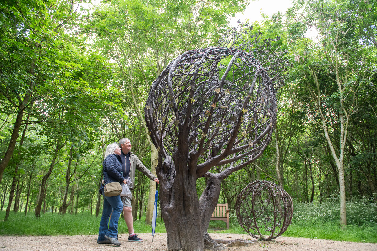 A bronze hawthorn tree sculpture stands in the middle of wooded grove. Polished bronze leaves are dotted along the thicker branches, each one bearing an inscription. To the left of the sculpture a man and woman look at the leaves on the tree.