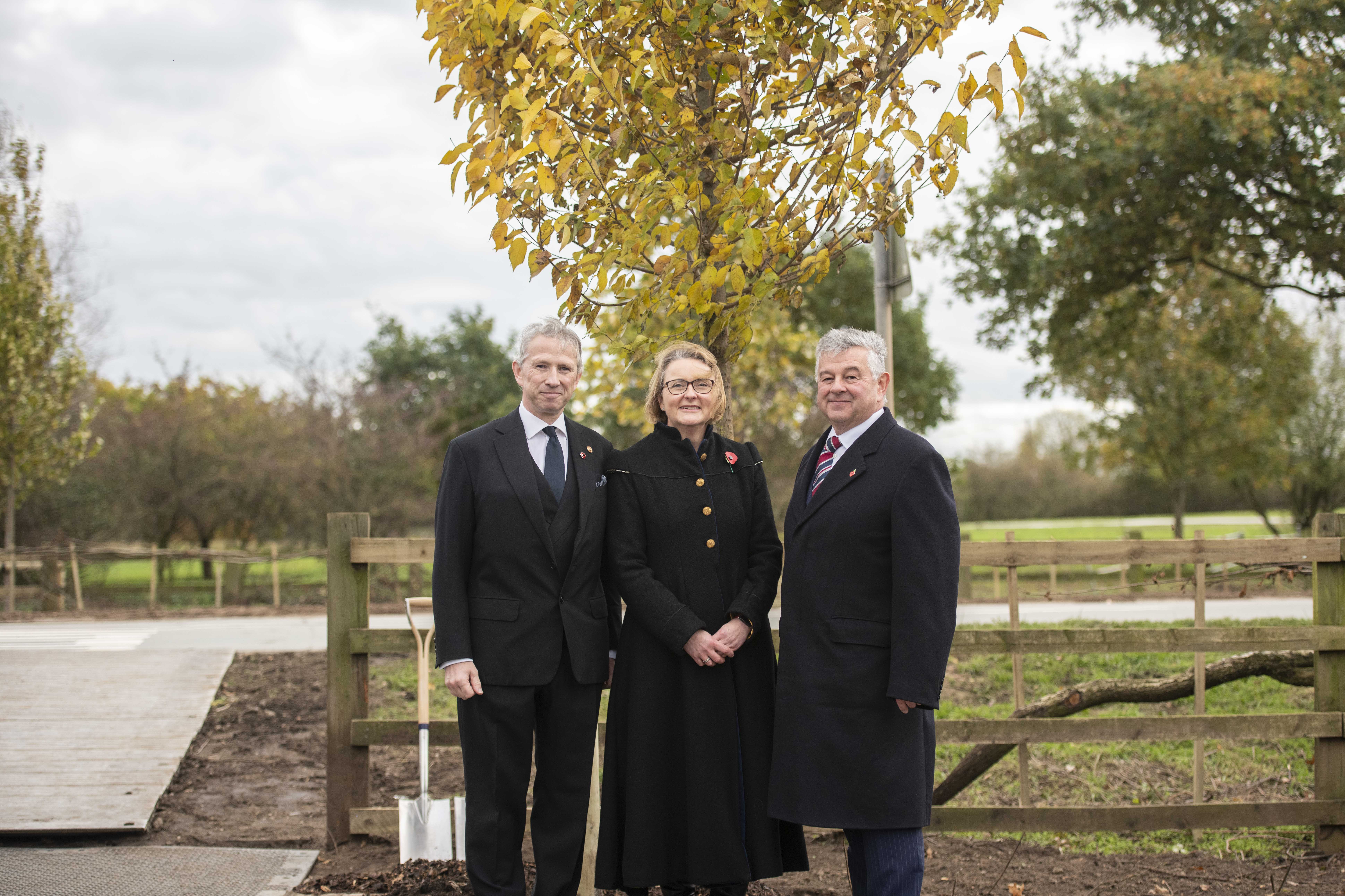 Queen's Green Canopy Image