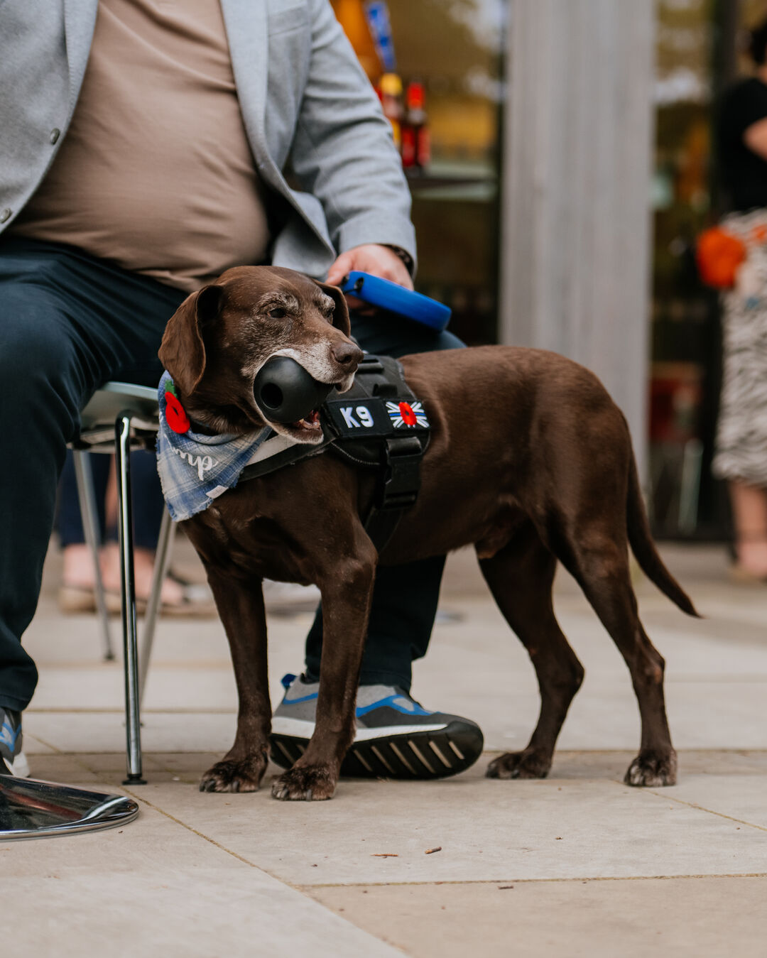 A dog and its owner sat in Heroes Square at the Arboretum