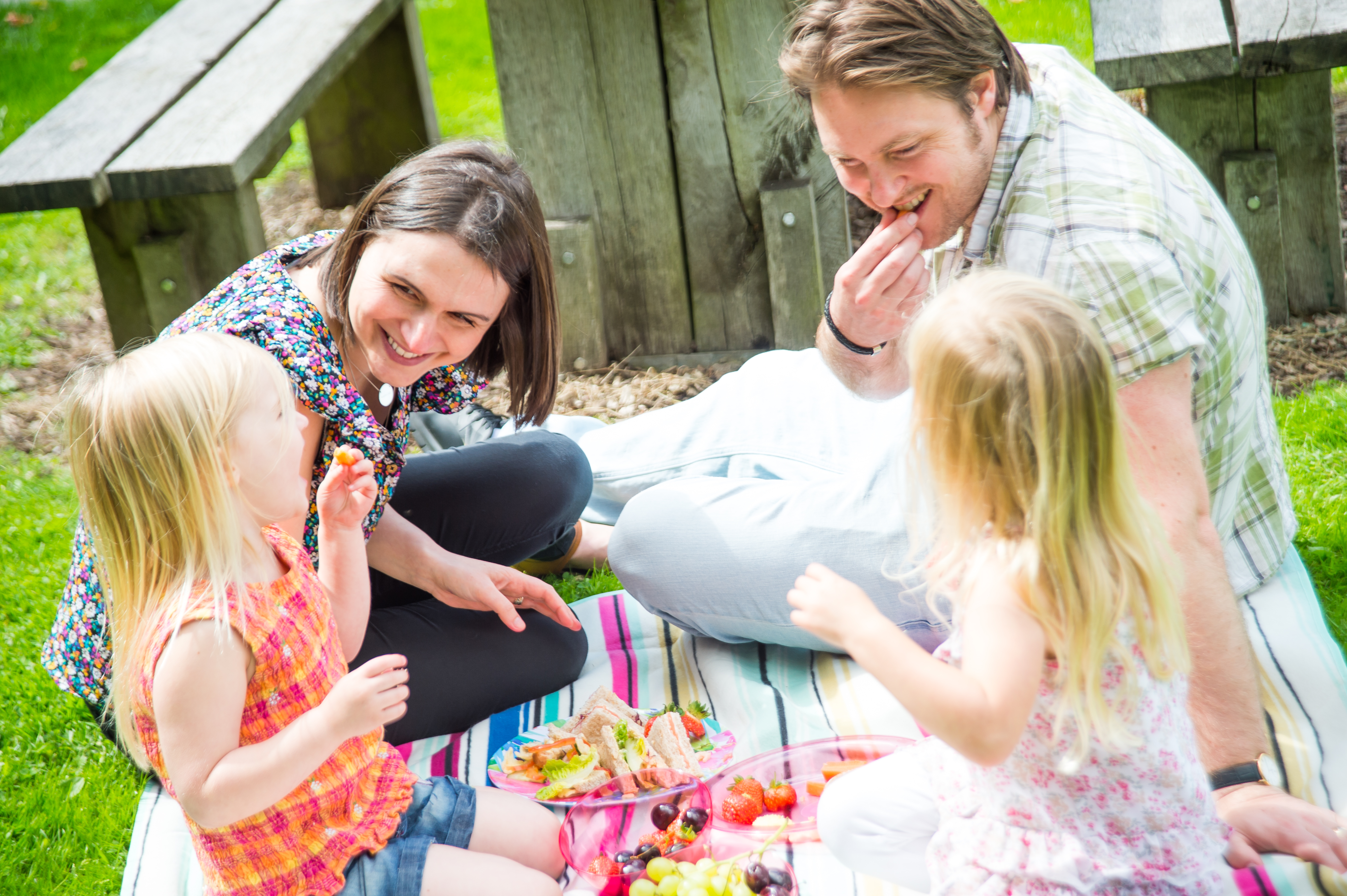 Family having a picnic