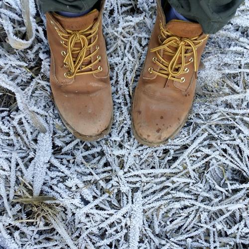 Walking Boots on Frosty Ground