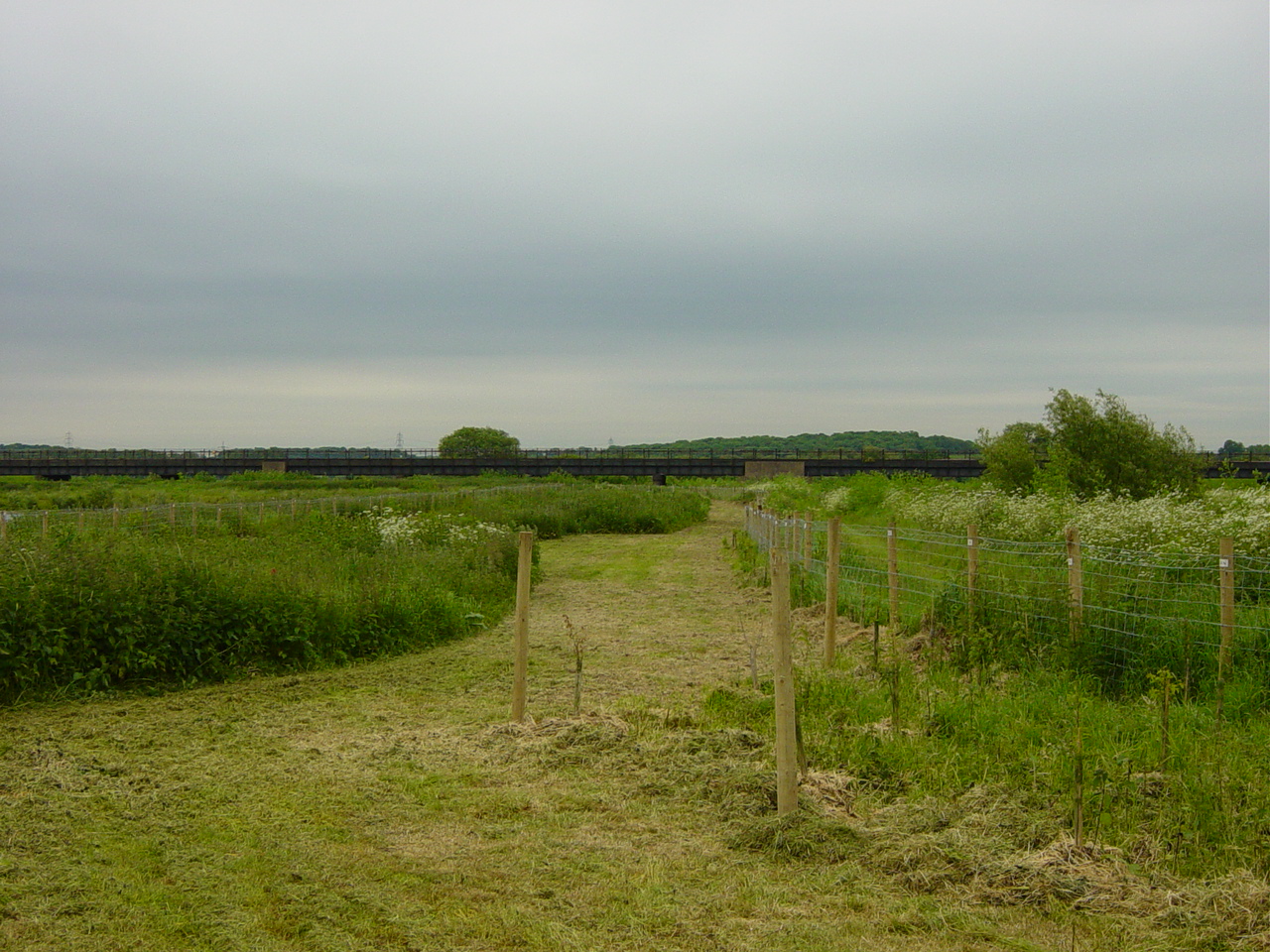 Historic image of the Allied Special Forces Memorial Grove captured in 2004